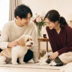 ペット好き同士の婚活を表すイメージ